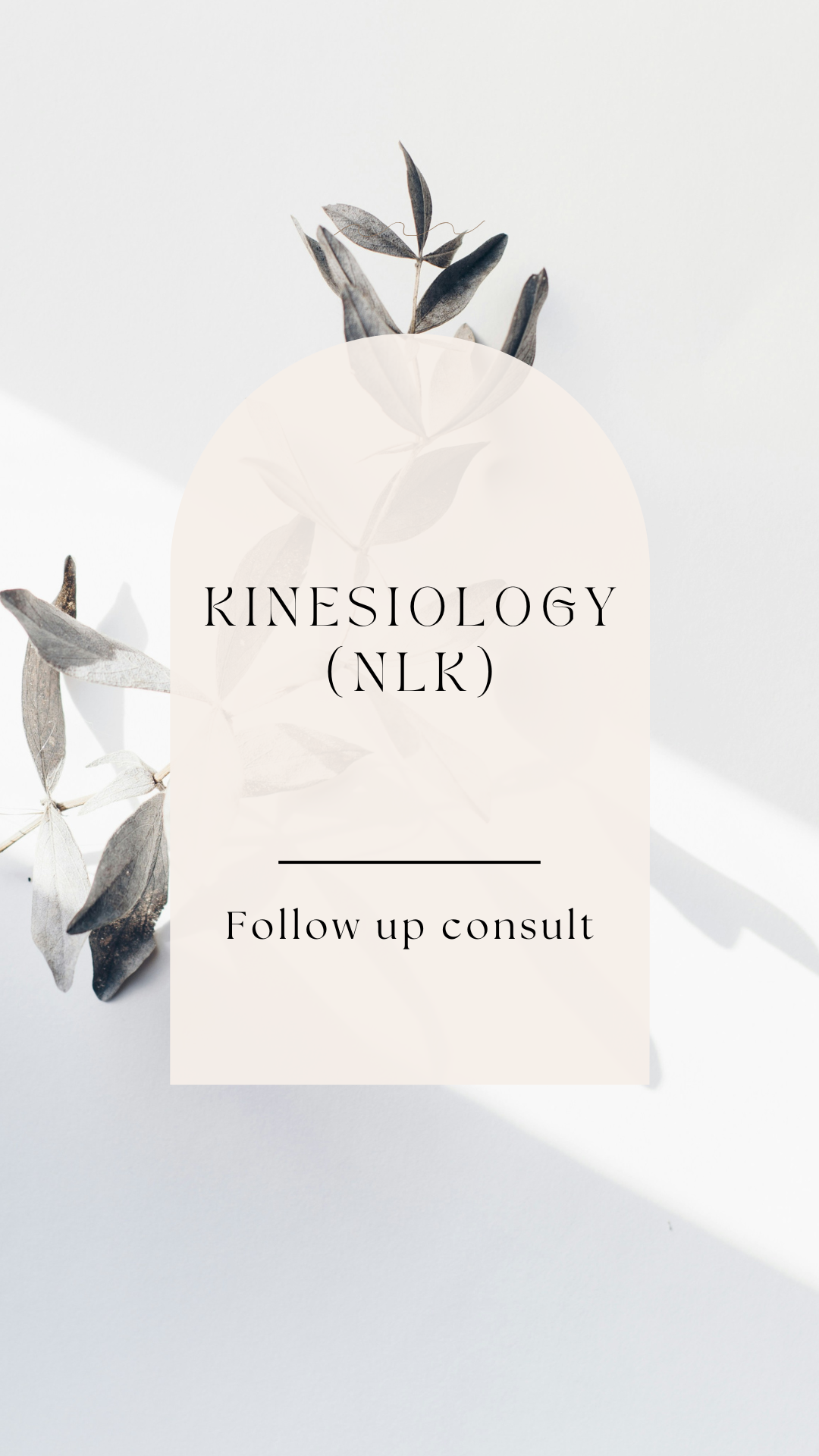 Kinesiology (NLK) - Follow up consult